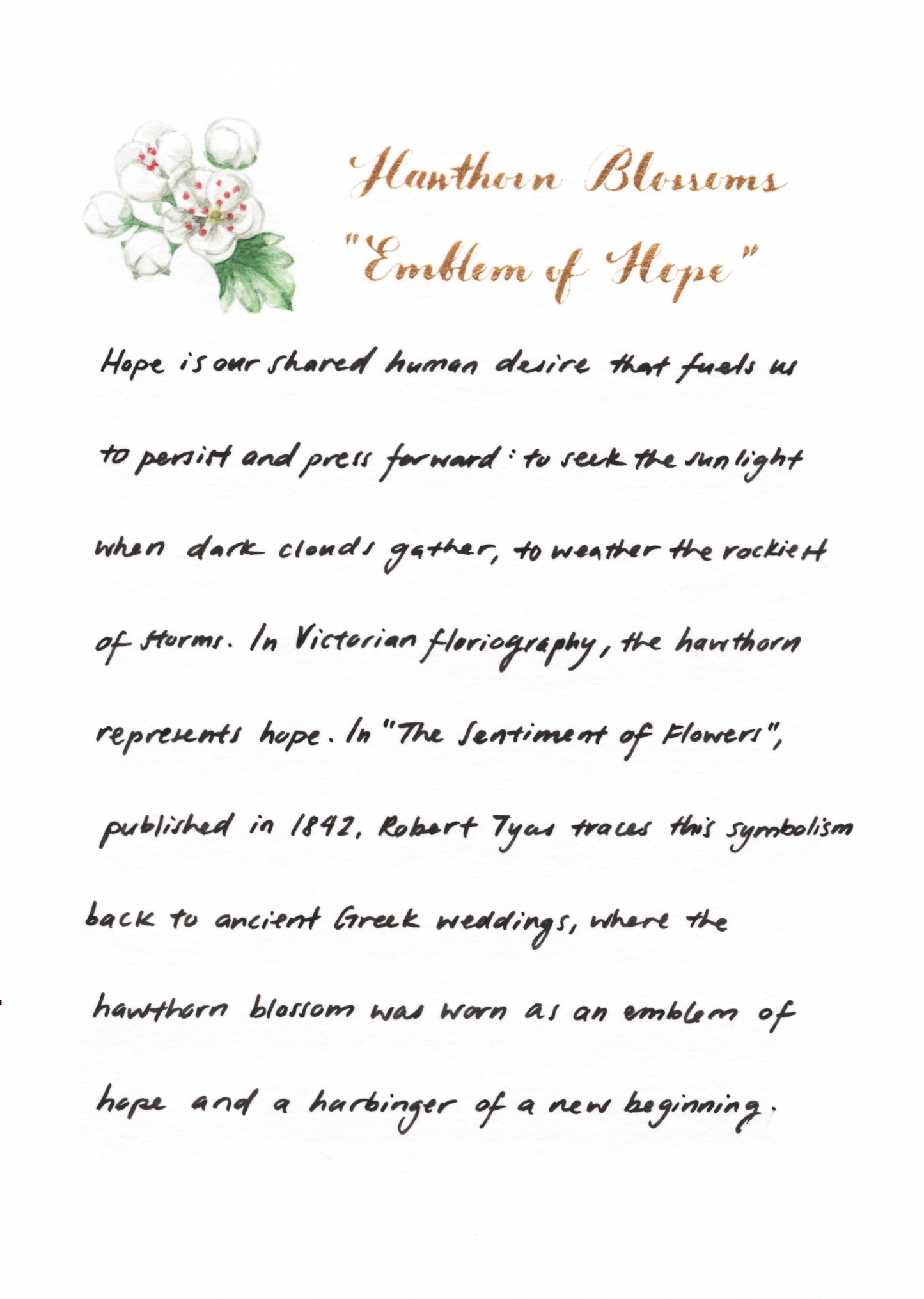 Relievo Necklace - Hawthorn Blossoms “Emblem of Hope”